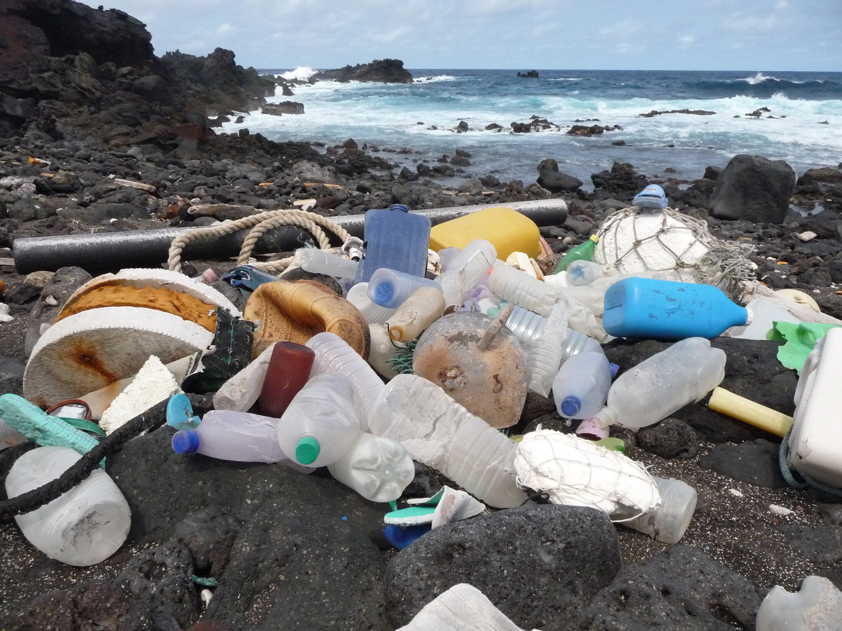 生态学家敲响塑料污染的警钟