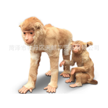 仿真猴子模型 家居时尚装饰 静态动物猴子标本 皮毛动物工艺品