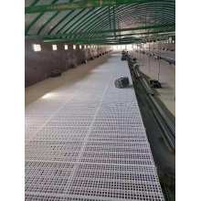 鸡鸭鹅养殖设备专用漏粪板、保育床等